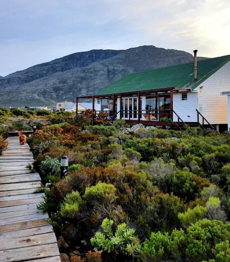 Brandys Beach House Bettys Bay Exterior photo