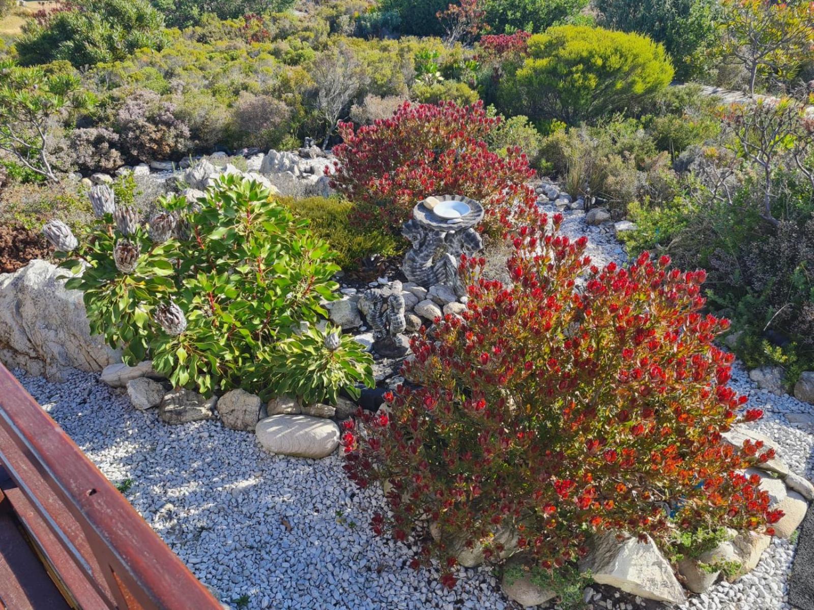Brandys Beach House Bettys Bay Exterior photo